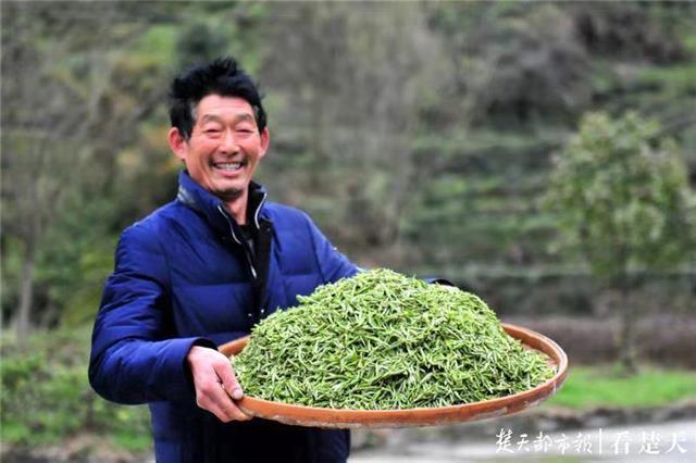 最新夷陵新聞，探索自然美景的旅程，尋覓內(nèi)心平和之地