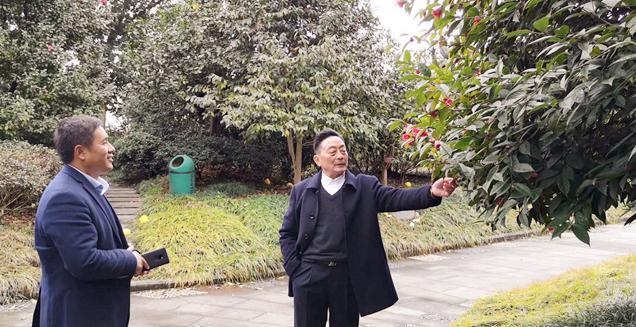 最新花木求購，開啟一場尋綠之旅的溫馨旅程