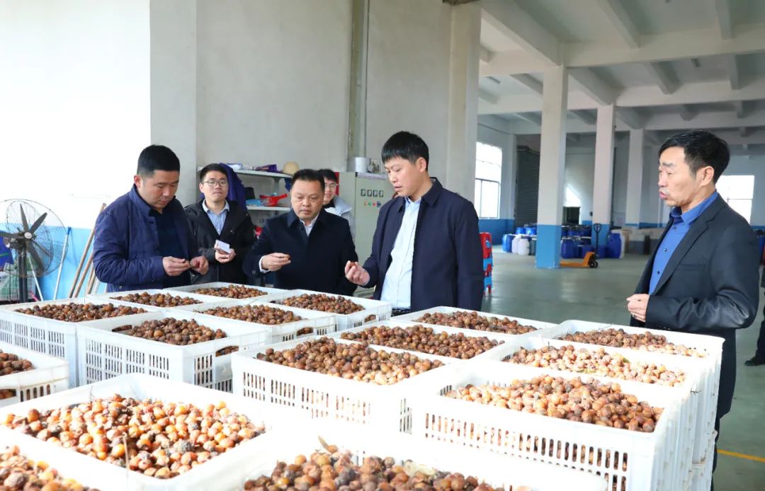 建寧最新新聞，城市溫馨日常與友情力量的展現(xiàn)