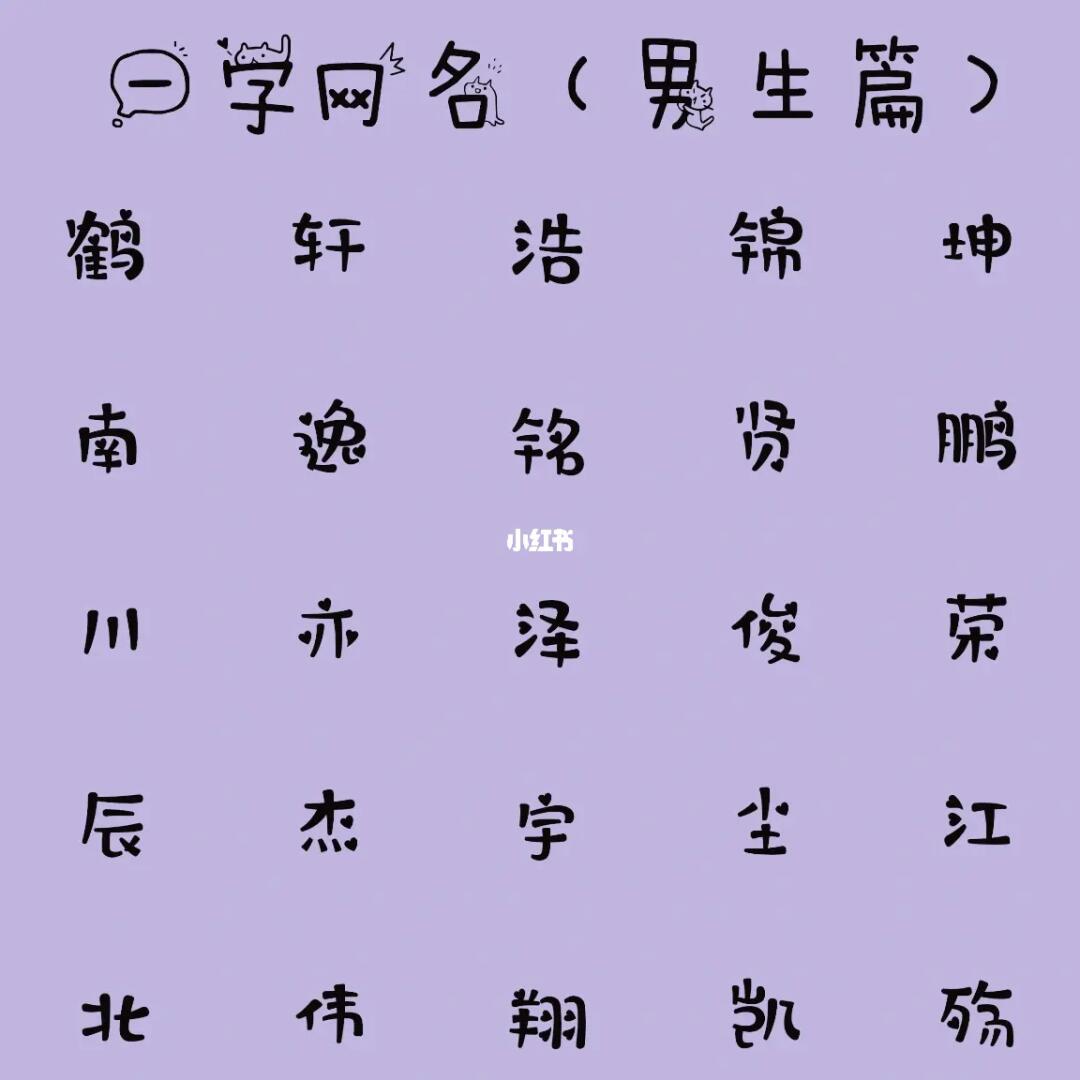 最新男生網(wǎng)名，時(shí)代潮流與虛擬身份的完美融合塑造