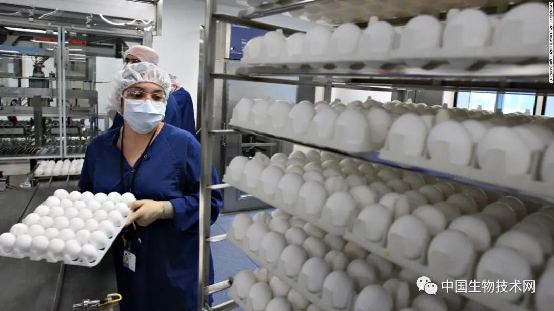 最新流感疫苗，科技助力健康新生活保護(hù)您免受流感侵襲