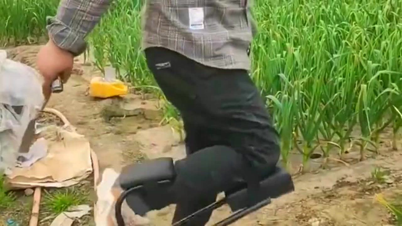 最新挖蒜工具，心靈與自然的完美交融