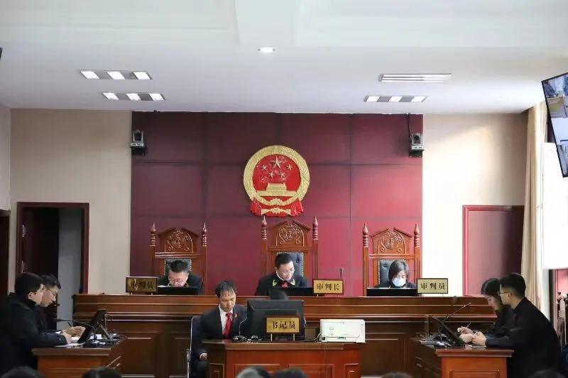 偏關(guān)最新案件深度解析，揭示真相，關(guān)注社會(huì)公正與公平