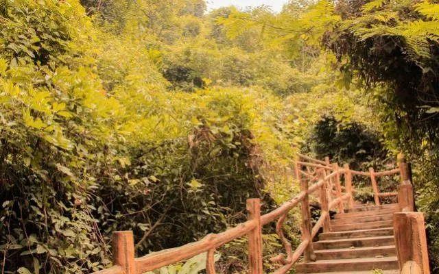 小99最新，科技、生活與娛樂的交融之地