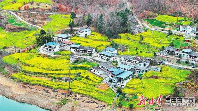 揭秘文縣，歷史背景、重大事件與時代地位全景展示