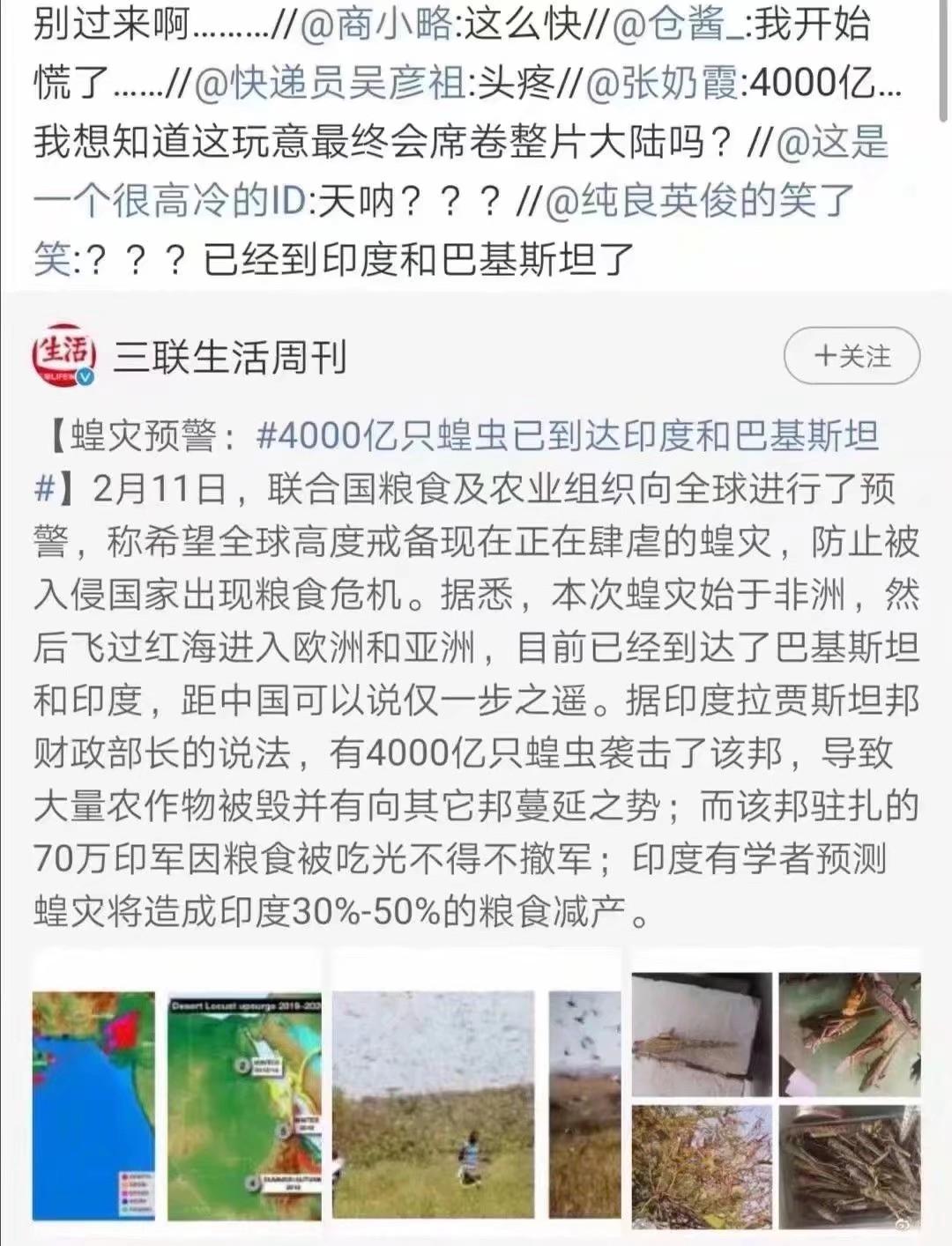 蝗蟲最新動(dòng)態(tài)，防治與監(jiān)測的全面指南