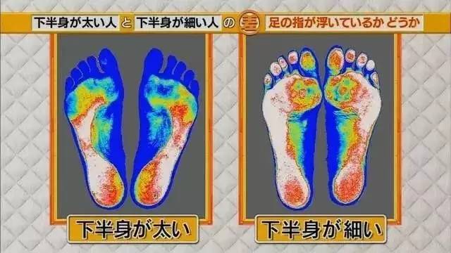 最新地趾論述，探索、爭(zhēng)議與觀點(diǎn)綜述