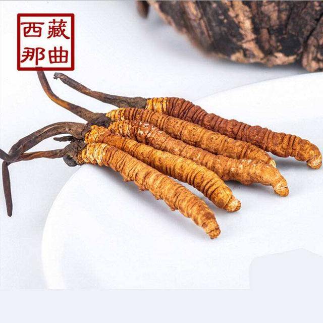 揭秘2025年蟲草最新價(jià)格，探尋小巷中的秘密行情！