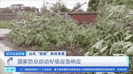 超強臺風鸚鵡來襲，最新路徑動態(tài)全解析???
