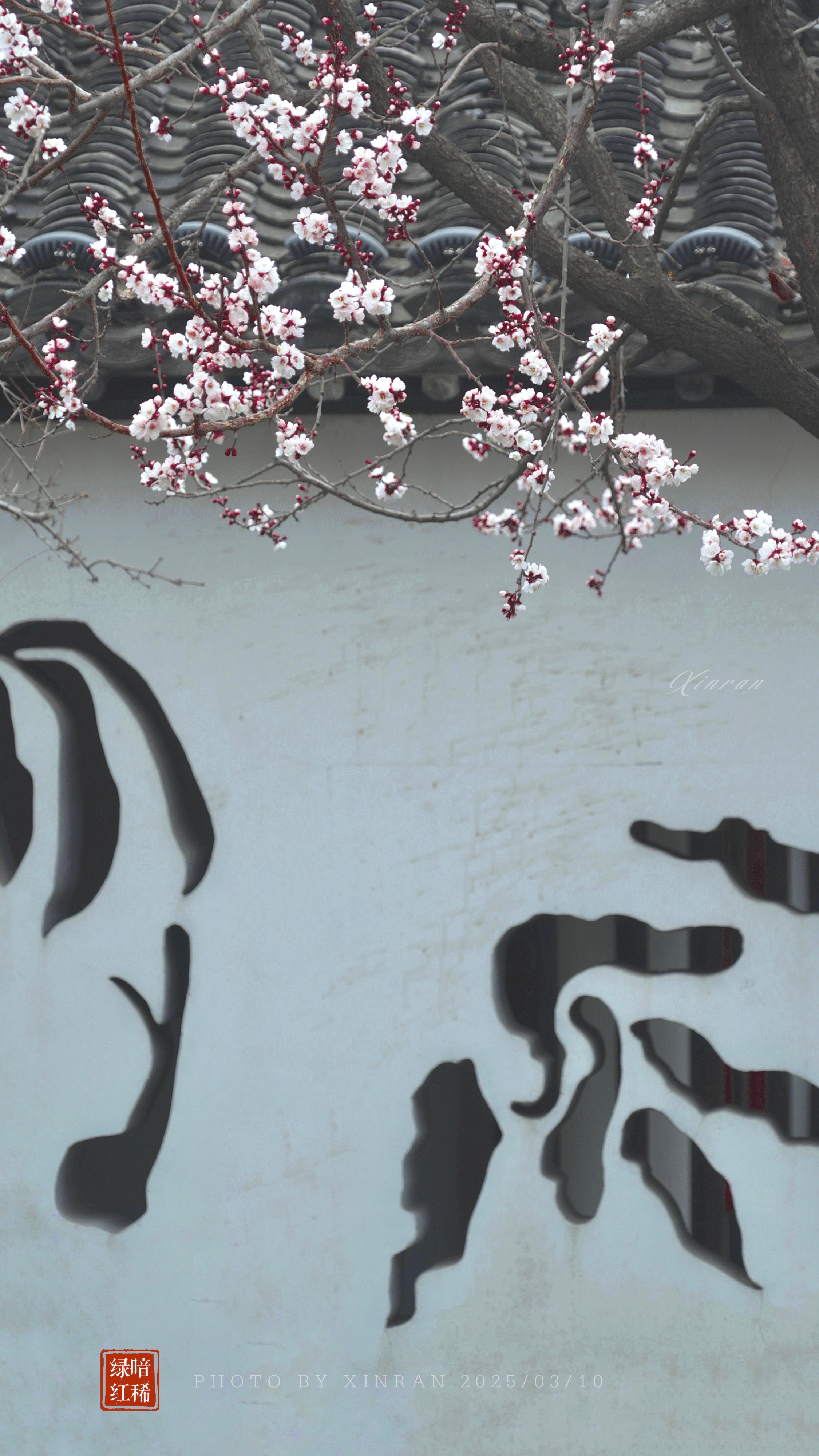紅杏出墻新變化，自信閃耀，成就無(wú)限可能的學(xué)習(xí)之旅