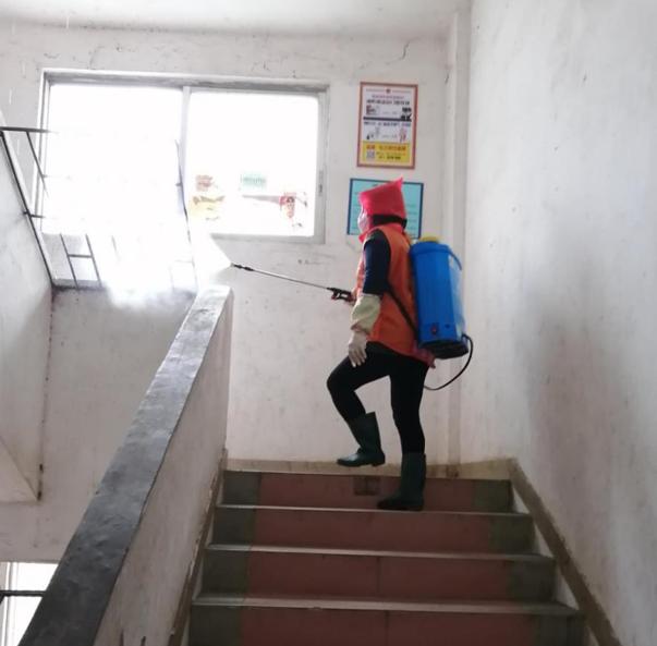 蓬江區(qū)最新高科技住宅，重塑未來生活體驗的首選之地